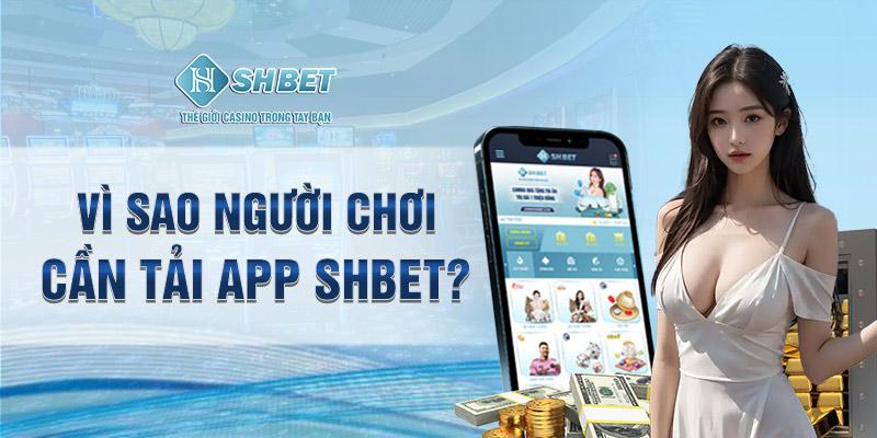 Giới thiệu tổng quan về nhà cái cá cược Shbet