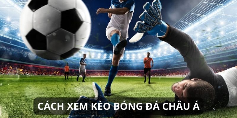 Hướng dẫn cách đọc kèo Châu Á từ A – Z cho tân binh