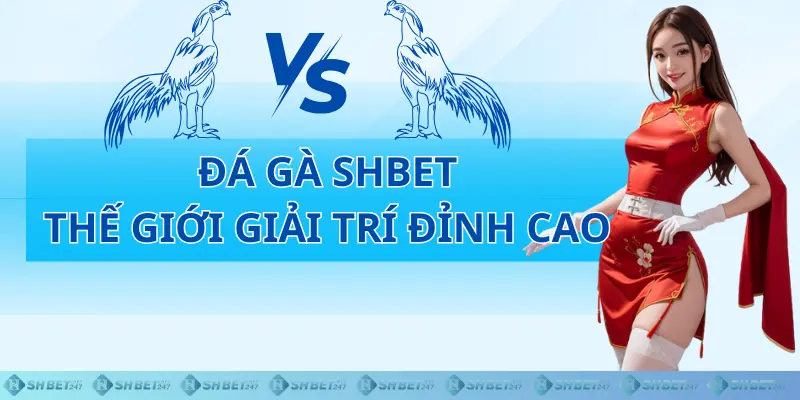 Kinh nghiệm chơi game đá gà online Shbet